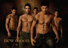 Taylor Lautner : taylor_lautner_1291298591.jpg