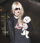 Taylor Momsen : taylor_momsen_1290882646.jpg