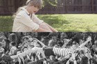 Taylor Swift : taylor-swift-1347378353.jpg