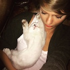 Taylor Swift : taylor-swift-1460221081.jpg