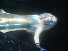 Taylor Swift : taylor_swift_1240083513.jpg