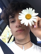 Teo Halm in General Pictures, Uploaded by: webby