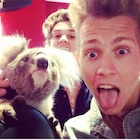 The Vamps : the-vamps-1444786801.jpg