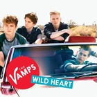 The Vamps : the-vamps-1596569396.jpg