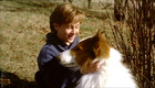 Thomas Guiry : tog-lassie_88.jpg