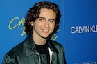 Timothee Chalamet : timothee-chalamet-1514271486.jpg