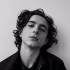 Timothee Chalamet : timothee-chalamet-1515127933.jpg