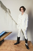 Timothee Chalamet : timothee-chalamet-1515128612.jpg