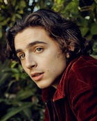 Timothee Chalamet : timothee-chalamet-1516850428.jpg