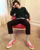 Timothee Chalamet : timothee-chalamet-1516981311.jpg