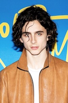 Timothee Chalamet : timothee-chalamet-1517126541.jpg