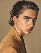 Timothee Chalamet : timothee-chalamet-1517459094.jpg