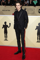 Timothee Chalamet : timothee-chalamet-1517460861.jpg