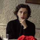 Timothee Chalamet : timothee-chalamet-1517635021.jpg