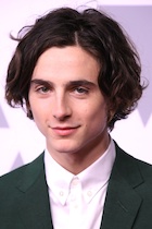 Timothee Chalamet : timothee-chalamet-1517952964.jpg