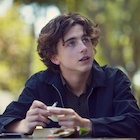 Timothee Chalamet : timothee-chalamet-1518454225.jpg