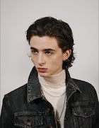 Timothee Chalamet : timothee-chalamet-1519343837.jpg