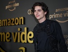 Timothee Chalamet : timothee-chalamet-1547070663.jpg