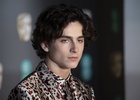 Timothee Chalamet : timothee-chalamet-1551030515.jpg