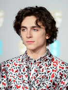 Timothee Chalamet : timothee-chalamet-1551030549.jpg