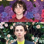 Timothee Chalamet : timothee-chalamet-1577557032.jpg