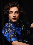 Timothee Chalamet : timothee-chalamet-1582489946.jpg