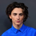 Timothee Chalamet : timothee-chalamet-1585777520.jpg