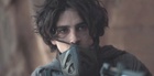 Timothee Chalamet : timothee-chalamet-1599700726.jpg