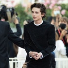 Timothee Chalamet : timothee-chalamet-1630768890.jpg