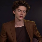 Timothee Chalamet : timothee-chalamet-1631026306.jpg