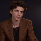 Timothee Chalamet : timothee-chalamet-1631026310.jpg