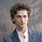 Timothee Chalamet : timothee-chalamet-1631026318.jpg