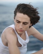 Timothee Chalamet : timothee-chalamet-1642065619.jpg