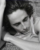 Timothee Chalamet : timothee-chalamet-1642065656.jpg