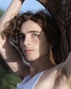 Timothee Chalamet : timothee-chalamet-1642065683.jpg