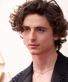 Timothee Chalamet : timothee-chalamet-1648431861.jpg