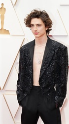 Timothee Chalamet : timothee-chalamet-1648532282.jpg