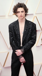 Timothee Chalamet : timothee-chalamet-1648532290.jpg