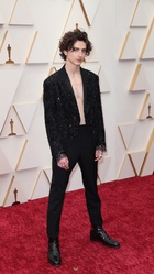 Timothee Chalamet : timothee-chalamet-1648532299.jpg