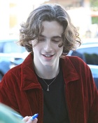 Timothee Chalamet : timothee-chalamet-1661791459.jpg