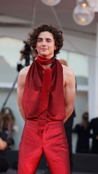 Timothee Chalamet : timothee-chalamet-1662306769.jpg