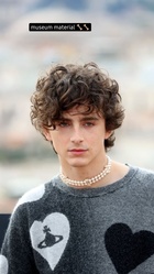 Timothee Chalamet : timothee-chalamet-1668301812.jpg