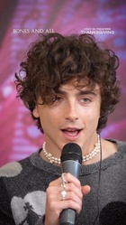 Timothee Chalamet : timothee-chalamet-1669252380.jpg