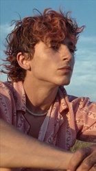 Timothee Chalamet : timothee-chalamet-1670285033.jpg