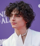 Timothee Chalamet : timothee-chalamet-1672160120.jpg