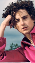 Timothee Chalamet : timothee-chalamet-1674326739.jpg