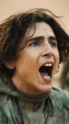 Timothee Chalamet : timothee-chalamet-1688155058.jpg