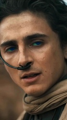 Timothee Chalamet : timothee-chalamet-1688155084.jpg