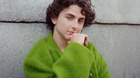 Timothee Chalamet : timothee-chalamet-1697692357.jpg