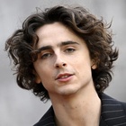 Timothee Chalamet : timothee-chalamet-1701183923.jpg